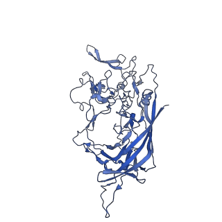 29636_8fzn_D_v1-0
Cryo-EM Structure of AAV2-R404A Variant
