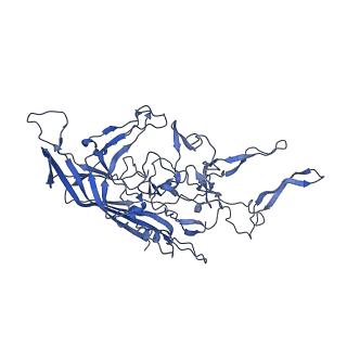 29636_8fzn_G_v1-0
Cryo-EM Structure of AAV2-R404A Variant