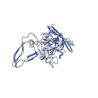 29636_8fzn_H_v1-0
Cryo-EM Structure of AAV2-R404A Variant