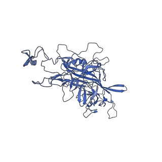 29636_8fzn_L_v1-0
Cryo-EM Structure of AAV2-R404A Variant