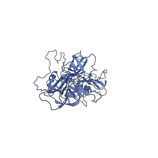 29636_8fzn_M_v1-0
Cryo-EM Structure of AAV2-R404A Variant