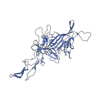 29636_8fzn_N_v1-0
Cryo-EM Structure of AAV2-R404A Variant