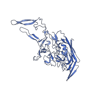 29636_8fzn_R_v1-0
Cryo-EM Structure of AAV2-R404A Variant