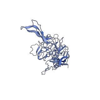 29636_8fzn_T_v1-0
Cryo-EM Structure of AAV2-R404A Variant