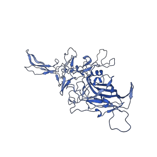 29636_8fzn_b_v1-0
Cryo-EM Structure of AAV2-R404A Variant
