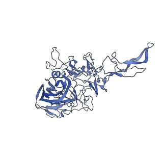 29636_8fzn_c_v1-0
Cryo-EM Structure of AAV2-R404A Variant