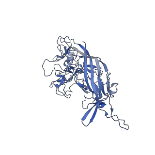 29636_8fzn_d_v1-0
Cryo-EM Structure of AAV2-R404A Variant