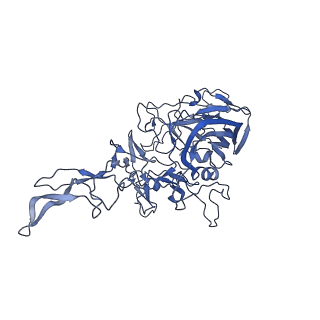 29636_8fzn_f_v1-0
Cryo-EM Structure of AAV2-R404A Variant