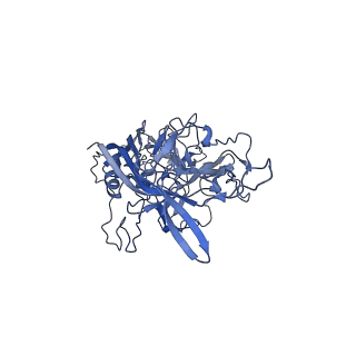 29636_8fzn_h_v1-0
Cryo-EM Structure of AAV2-R404A Variant