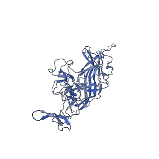 29636_8fzn_n_v1-0
Cryo-EM Structure of AAV2-R404A Variant