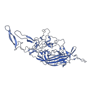 29636_8fzn_p_v1-0
Cryo-EM Structure of AAV2-R404A Variant