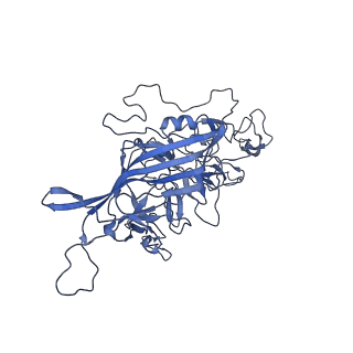 29636_8fzn_s_v1-0
Cryo-EM Structure of AAV2-R404A Variant