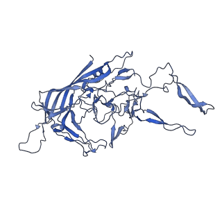 29636_8fzn_t_v1-0
Cryo-EM Structure of AAV2-R404A Variant