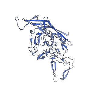 29636_8fzn_y_v1-0
Cryo-EM Structure of AAV2-R404A Variant