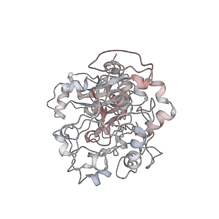 29638_8fzr_A_v1-0
CryoEM structure of yeast Arginyltransferase 1 (ATE1)