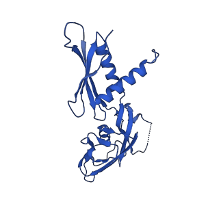 29640_8g00_G_v1-1
Cryo-EM structure of 3DVA component 0 of Escherichia coli que-PEC (paused elongation complex) RNA Polymerase minus preQ1 ligand