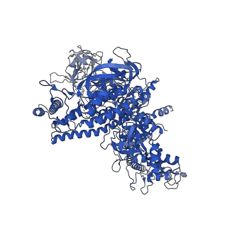 29640_8g00_J_v1-1
Cryo-EM structure of 3DVA component 0 of Escherichia coli que-PEC (paused elongation complex) RNA Polymerase minus preQ1 ligand
