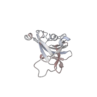 29642_8g02_H_v1-0
YES Complex - E. coli MraY, Protein E PhiX174, E. coli SlyD