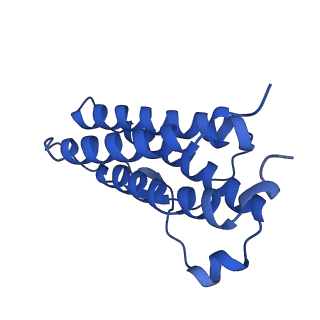 29644_8g04_A_v1-0
Structure of signaling thrombopoietin-MPL receptor complex