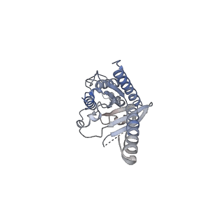 29645_8g05_A_v1-0
Cryo-EM structure of an orphan GPCR-Gi protein signaling complex