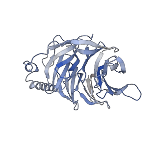 29645_8g05_B_v1-0
Cryo-EM structure of an orphan GPCR-Gi protein signaling complex