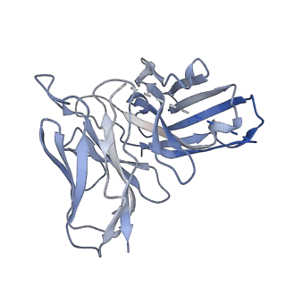 29645_8g05_E_v1-0
Cryo-EM structure of an orphan GPCR-Gi protein signaling complex