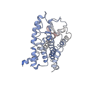 29645_8g05_R_v1-0
Cryo-EM structure of an orphan GPCR-Gi protein signaling complex