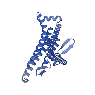 29648_8g07_a_v1-2
Cryo-EM structure of SQ31f-bound Mycobacterium smegmatis ATP synthase FO region