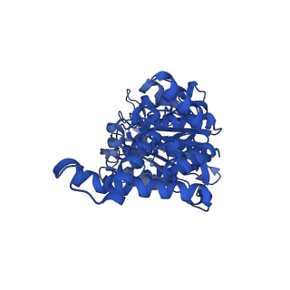 29649_8g08_D_v1-2
Cryo-EM structure of SQ31f-bound Mycobacterium smegmatis ATP synthase rotational state 1 (backbone model)