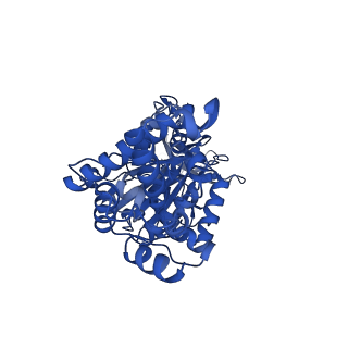 29649_8g08_E_v1-2
Cryo-EM structure of SQ31f-bound Mycobacterium smegmatis ATP synthase rotational state 1 (backbone model)