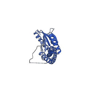 29649_8g08_G_v1-2
Cryo-EM structure of SQ31f-bound Mycobacterium smegmatis ATP synthase rotational state 1 (backbone model)