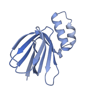 29649_8g08_H_v1-2
Cryo-EM structure of SQ31f-bound Mycobacterium smegmatis ATP synthase rotational state 1 (backbone model)