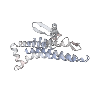 29649_8g08_a_v1-2
Cryo-EM structure of SQ31f-bound Mycobacterium smegmatis ATP synthase rotational state 1 (backbone model)