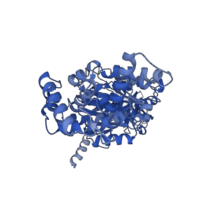 29650_8g09_A_v1-2
Cryo-EM structure of SQ31f-bound Mycobacterium smegmatis ATP synthase rotational state 2 (backbone model)