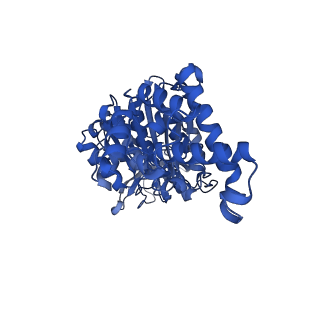 29650_8g09_D_v1-2
Cryo-EM structure of SQ31f-bound Mycobacterium smegmatis ATP synthase rotational state 2 (backbone model)