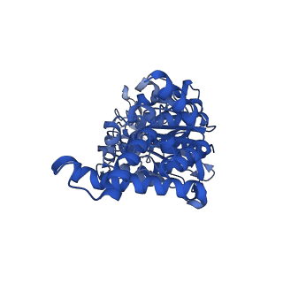 29650_8g09_E_v1-2
Cryo-EM structure of SQ31f-bound Mycobacterium smegmatis ATP synthase rotational state 2 (backbone model)