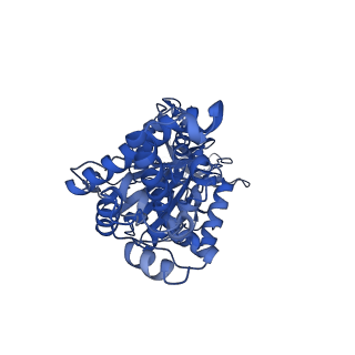 29650_8g09_F_v1-2
Cryo-EM structure of SQ31f-bound Mycobacterium smegmatis ATP synthase rotational state 2 (backbone model)
