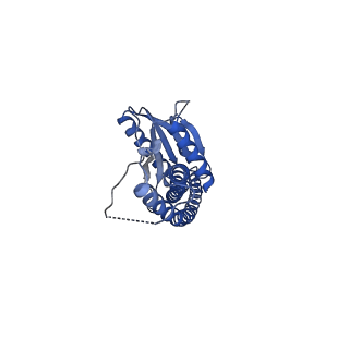 29650_8g09_G_v1-2
Cryo-EM structure of SQ31f-bound Mycobacterium smegmatis ATP synthase rotational state 2 (backbone model)