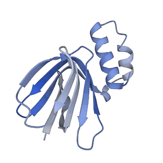 29650_8g09_H_v1-2
Cryo-EM structure of SQ31f-bound Mycobacterium smegmatis ATP synthase rotational state 2 (backbone model)