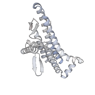 29650_8g09_a_v1-2
Cryo-EM structure of SQ31f-bound Mycobacterium smegmatis ATP synthase rotational state 2 (backbone model)