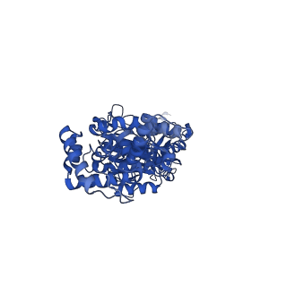 29651_8g0a_B_v1-2
Cryo-EM structure of SQ31f-bound Mycobacterium smegmatis ATP synthase rotational state 3