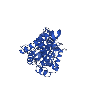 29651_8g0a_D_v1-2
Cryo-EM structure of SQ31f-bound Mycobacterium smegmatis ATP synthase rotational state 3