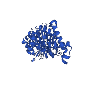 29651_8g0a_E_v1-2
Cryo-EM structure of SQ31f-bound Mycobacterium smegmatis ATP synthase rotational state 3