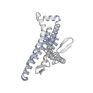 29651_8g0a_a_v1-2
Cryo-EM structure of SQ31f-bound Mycobacterium smegmatis ATP synthase rotational state 3