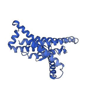 29652_8g0b_a_v1-2
Cryo-EM structure of TBAJ-876-bound Mycobacterium smegmatis ATP synthase FO region