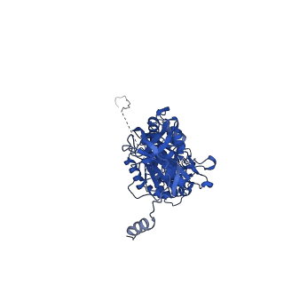 29653_8g0c_A_v1-2
Cryo-EM structure of TBAJ-876-bound Mycobacterium smegmatis ATP synthase rotational state 1 (backbone model)
