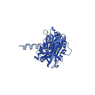 29653_8g0c_B_v1-2
Cryo-EM structure of TBAJ-876-bound Mycobacterium smegmatis ATP synthase rotational state 1 (backbone model)