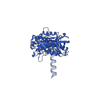 29653_8g0c_C_v1-2
Cryo-EM structure of TBAJ-876-bound Mycobacterium smegmatis ATP synthase rotational state 1 (backbone model)