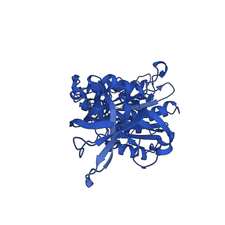 29653_8g0c_D_v1-2
Cryo-EM structure of TBAJ-876-bound Mycobacterium smegmatis ATP synthase rotational state 1 (backbone model)