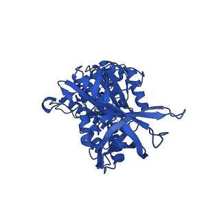 29653_8g0c_E_v1-2
Cryo-EM structure of TBAJ-876-bound Mycobacterium smegmatis ATP synthase rotational state 1 (backbone model)
